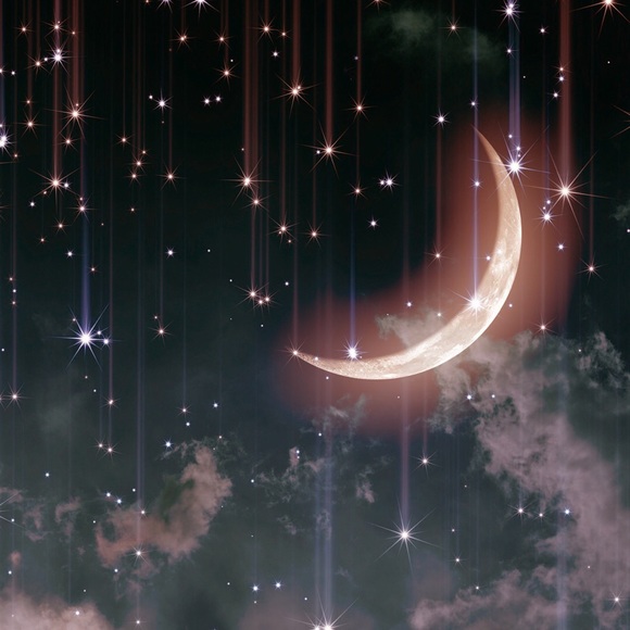 Meet your Posher, Enitza - Picture 1 of 1